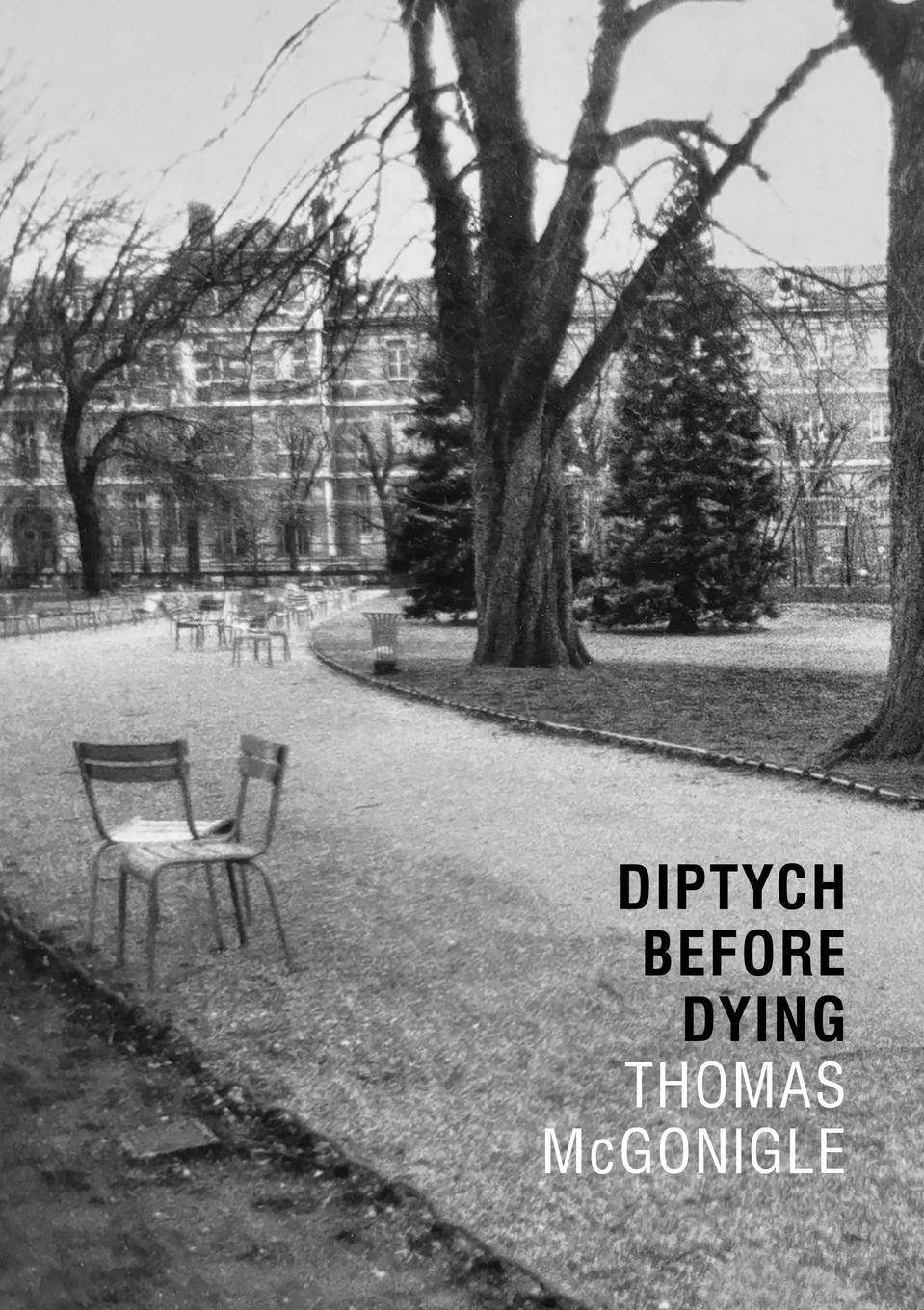 Vorderes Coverbild Diptych Before Dying