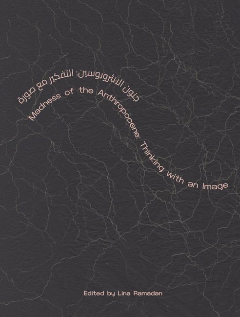 Vorderes Coverbild Madness of the Anthropocene