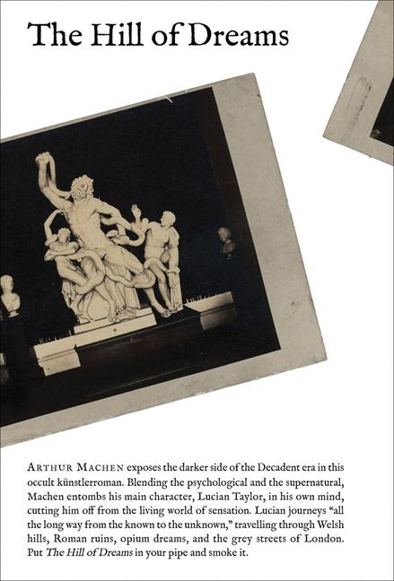 Vorderes Coverbild The Hill of Dreams