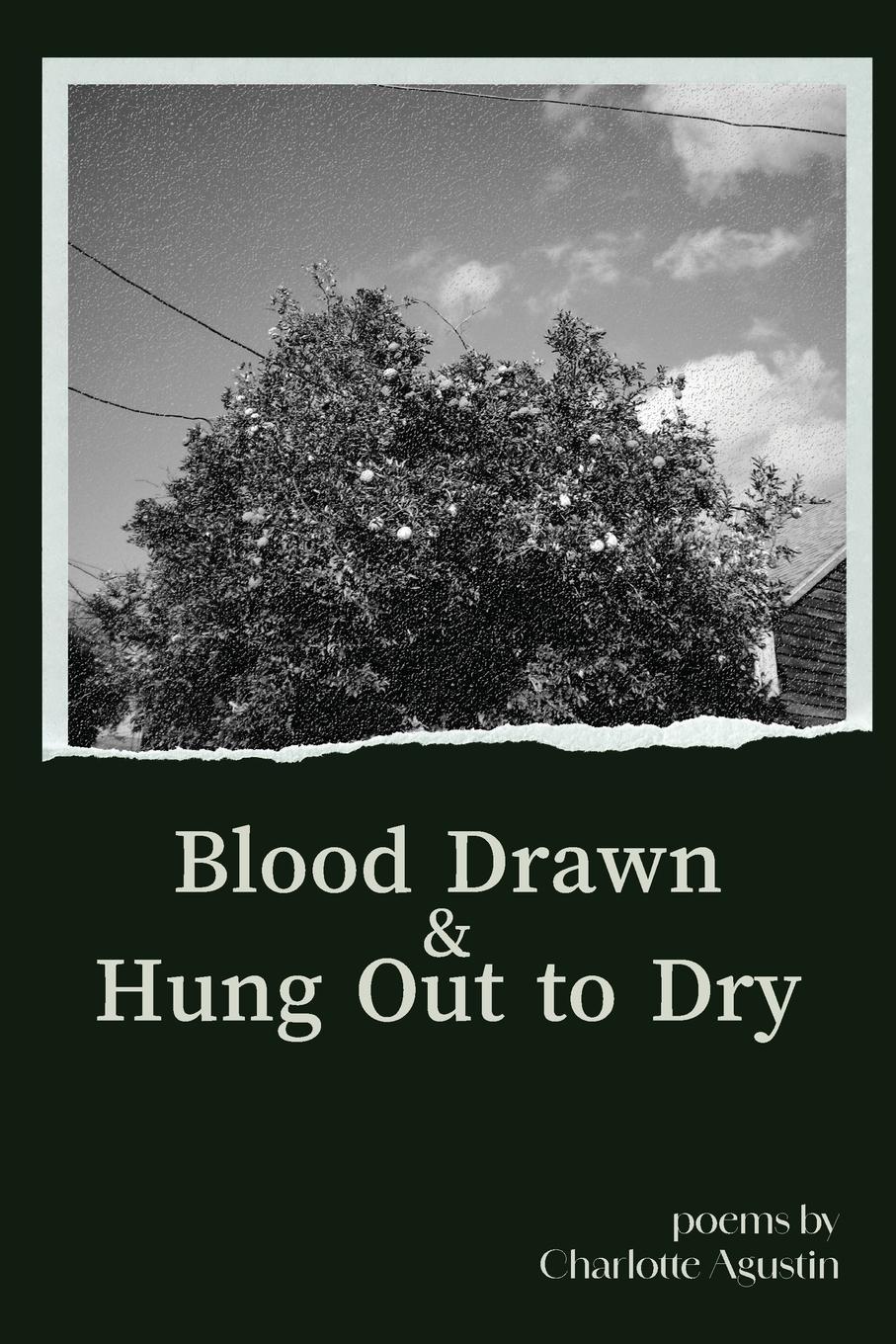 Vorderes Coverbild Blood Drawn & Hung Out to Dry