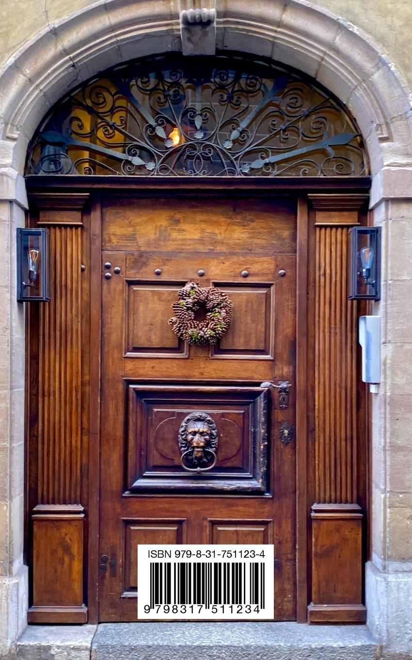 Rückseitencover Doors