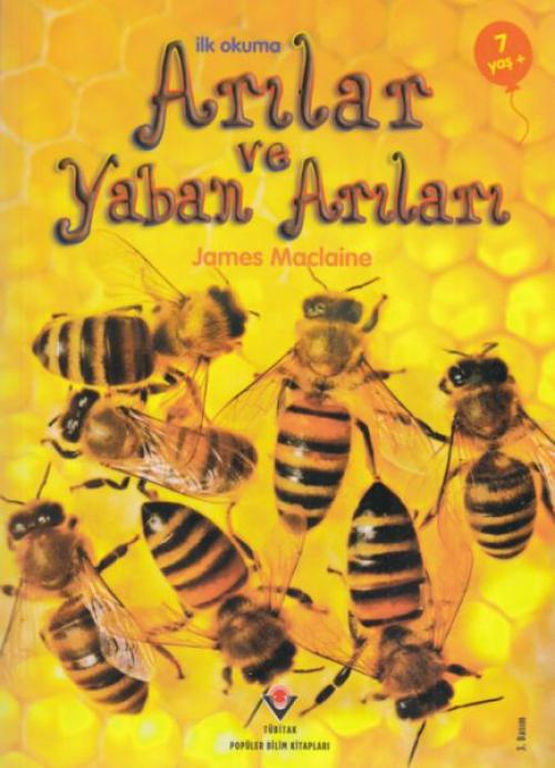 Vorderes Coverbild Ilk Okuma - Arilar ve Yaban Arilari