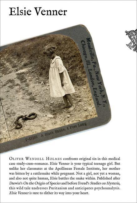 Vorderes Coverbild Elsie Venner