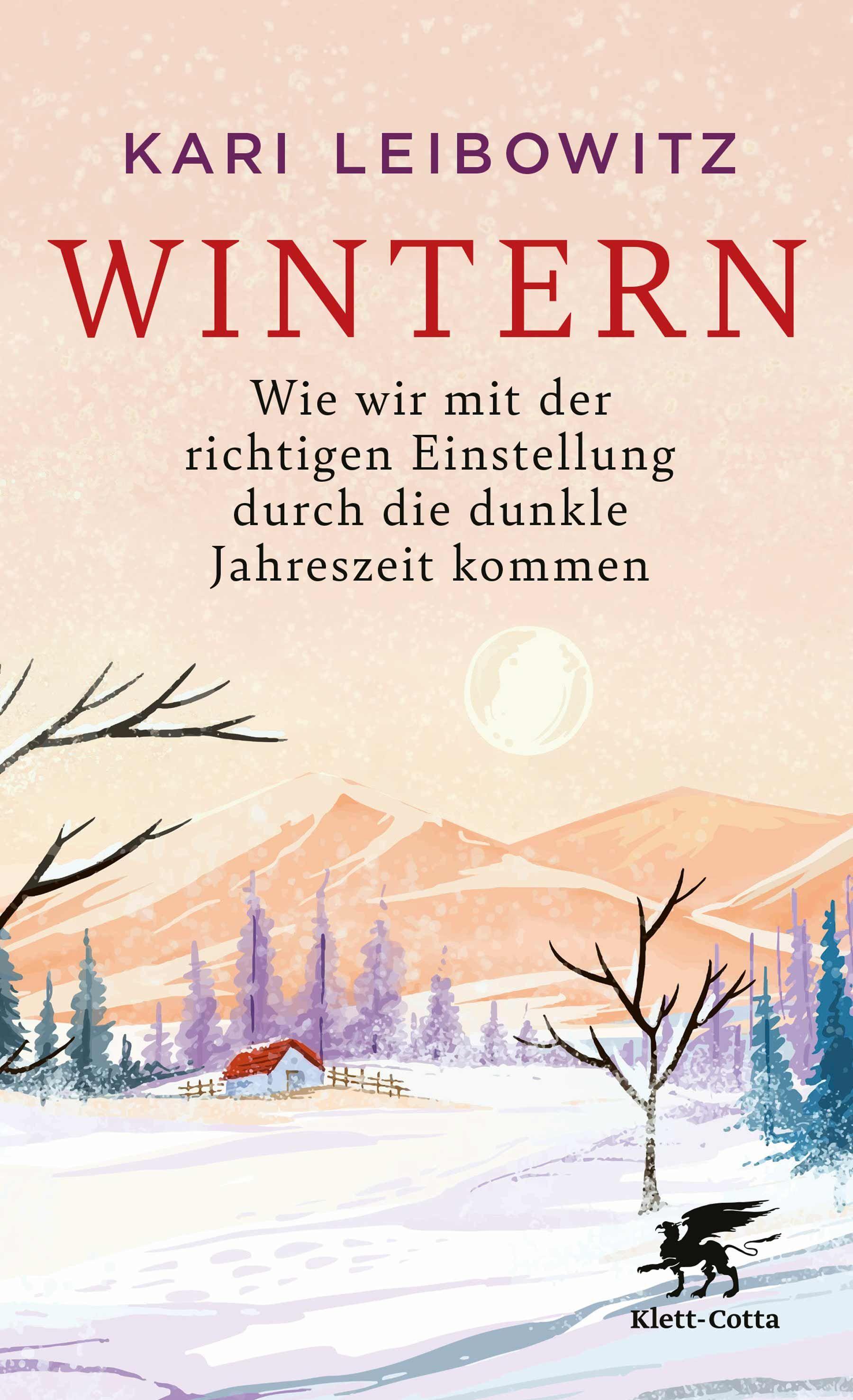 Vorderes Coverbild Wintern