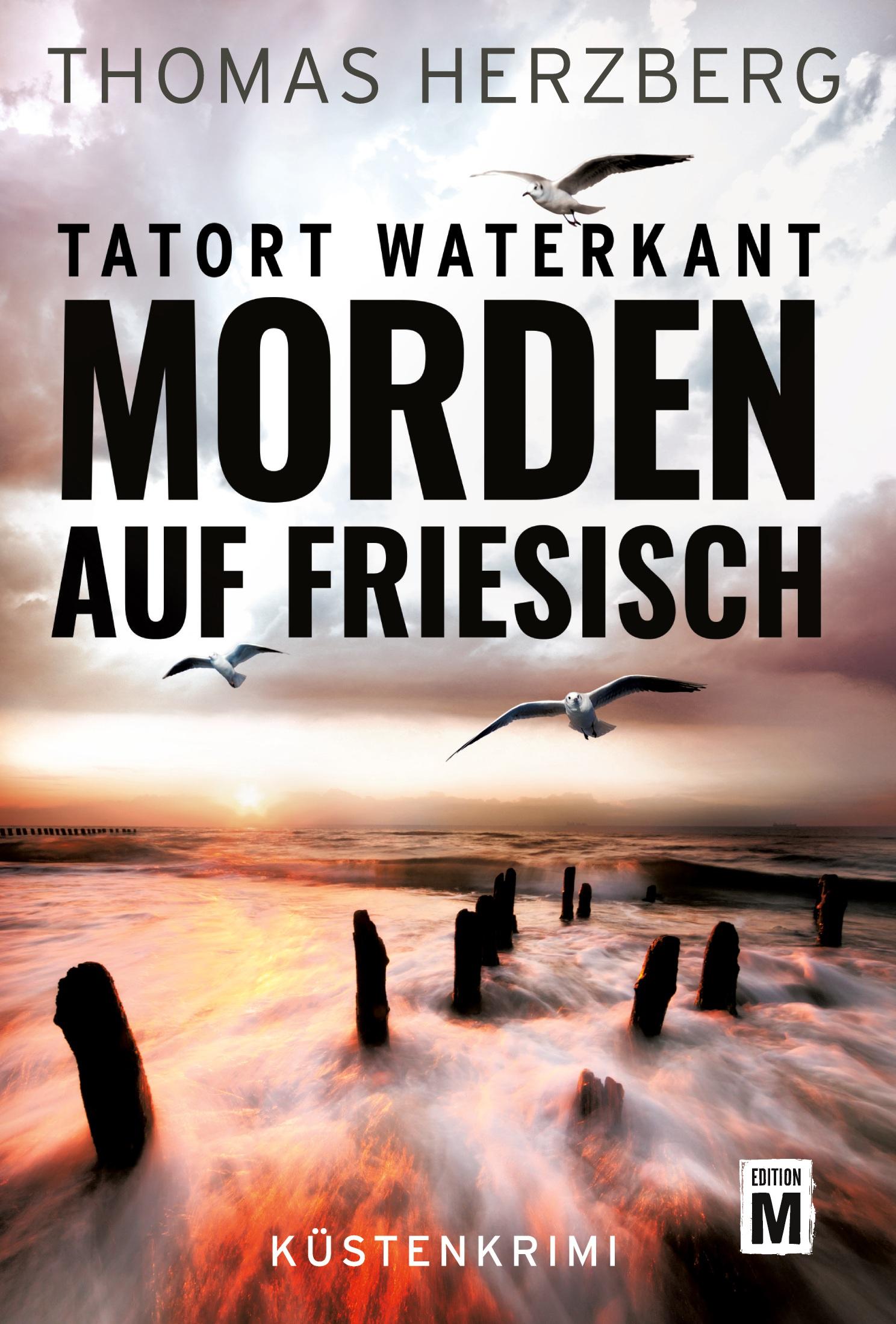 Vorderes Coverbild Morden auf Friesisch