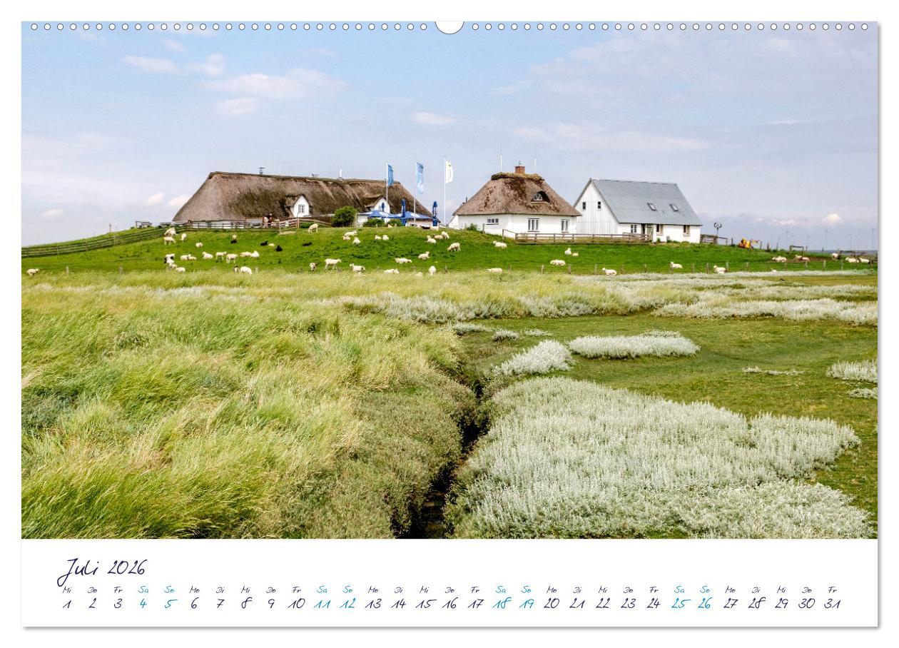 Beispielinhalt (Bild) Nordfriesland - weiter Horizont, faszinierende Natur, idyllische Städte (Wandkalender 2026 DIN A2 quer), CALVENDO Monatskalender