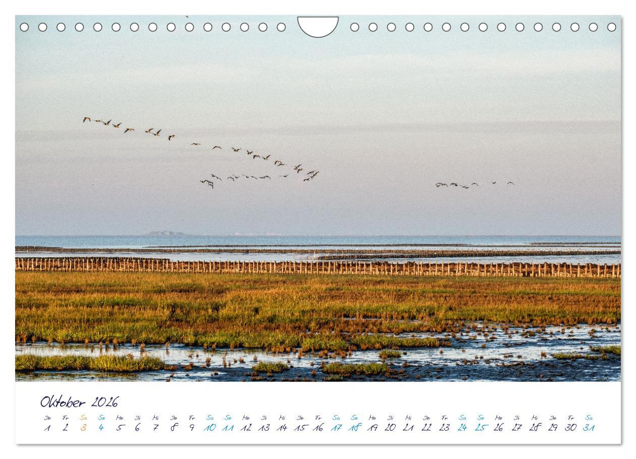 Beispielinhalt (Bild) Nordfriesland - weiter Horizont, faszinierende Natur, idyllische Städte (Wandkalender 2026 DIN A4 quer), CALVENDO Monatskalender