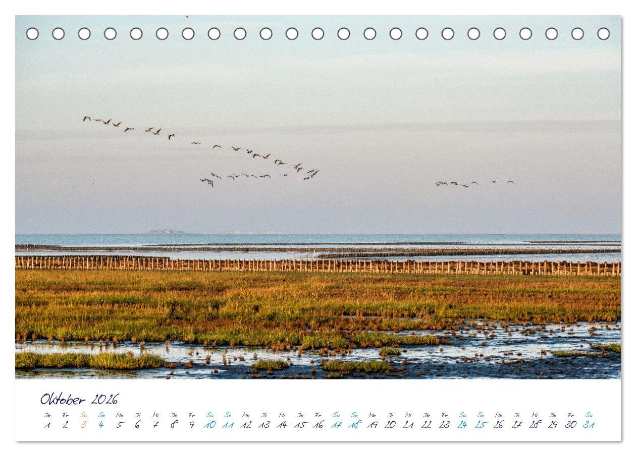 Beispielinhalt (Bild) Nordfriesland - weiter Horizont, faszinierende Natur, idyllische Städte (Tischkalender 2026 DIN A5 quer), CALVENDO Monatskalender