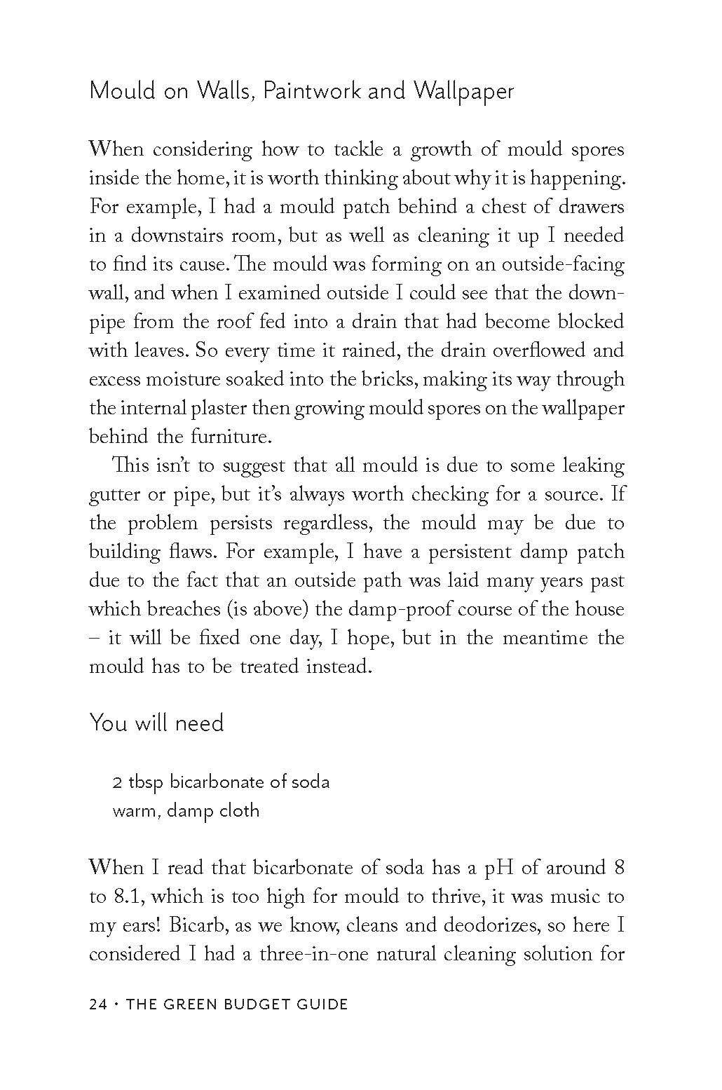 Beispielinhalt (Bild) The Green Budget Guide