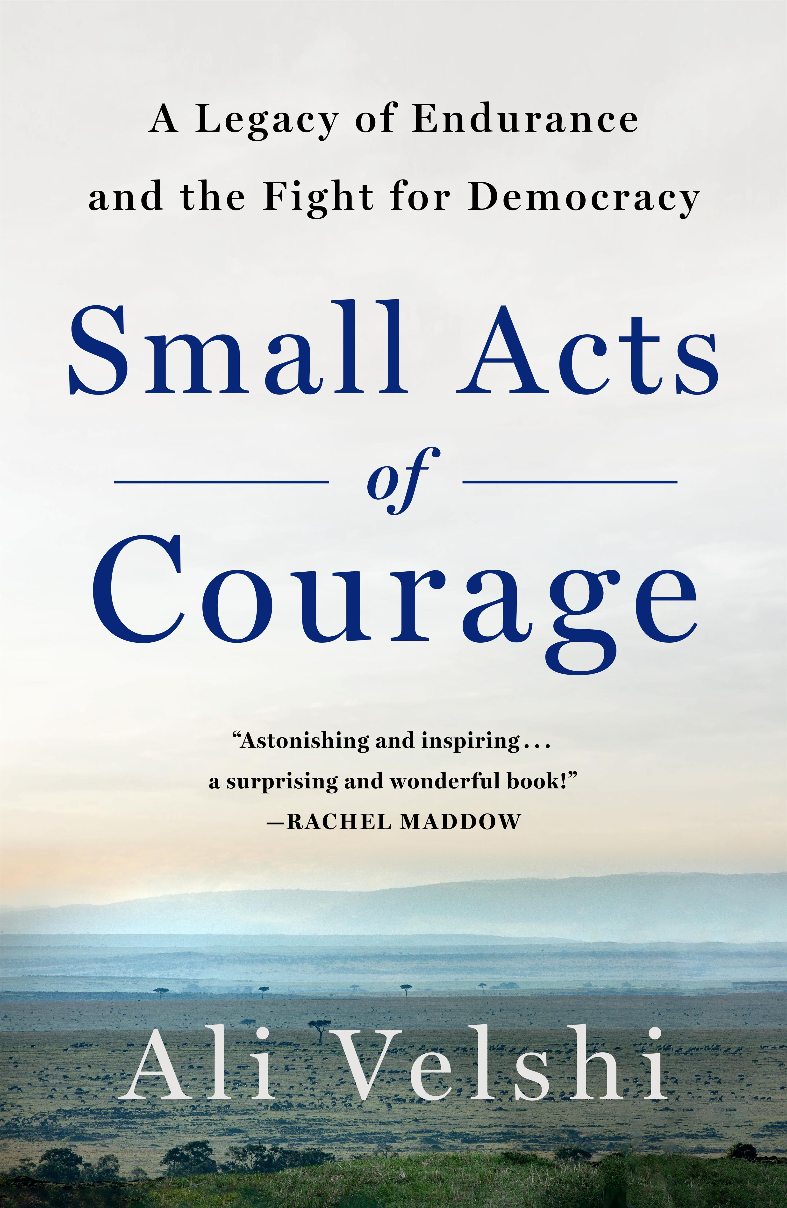 Vorderes Coverbild Small Acts of Courage