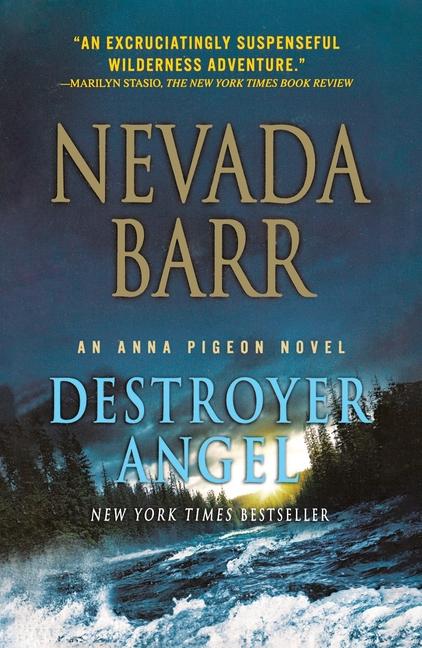 Vorderes Coverbild Destroyer Angel