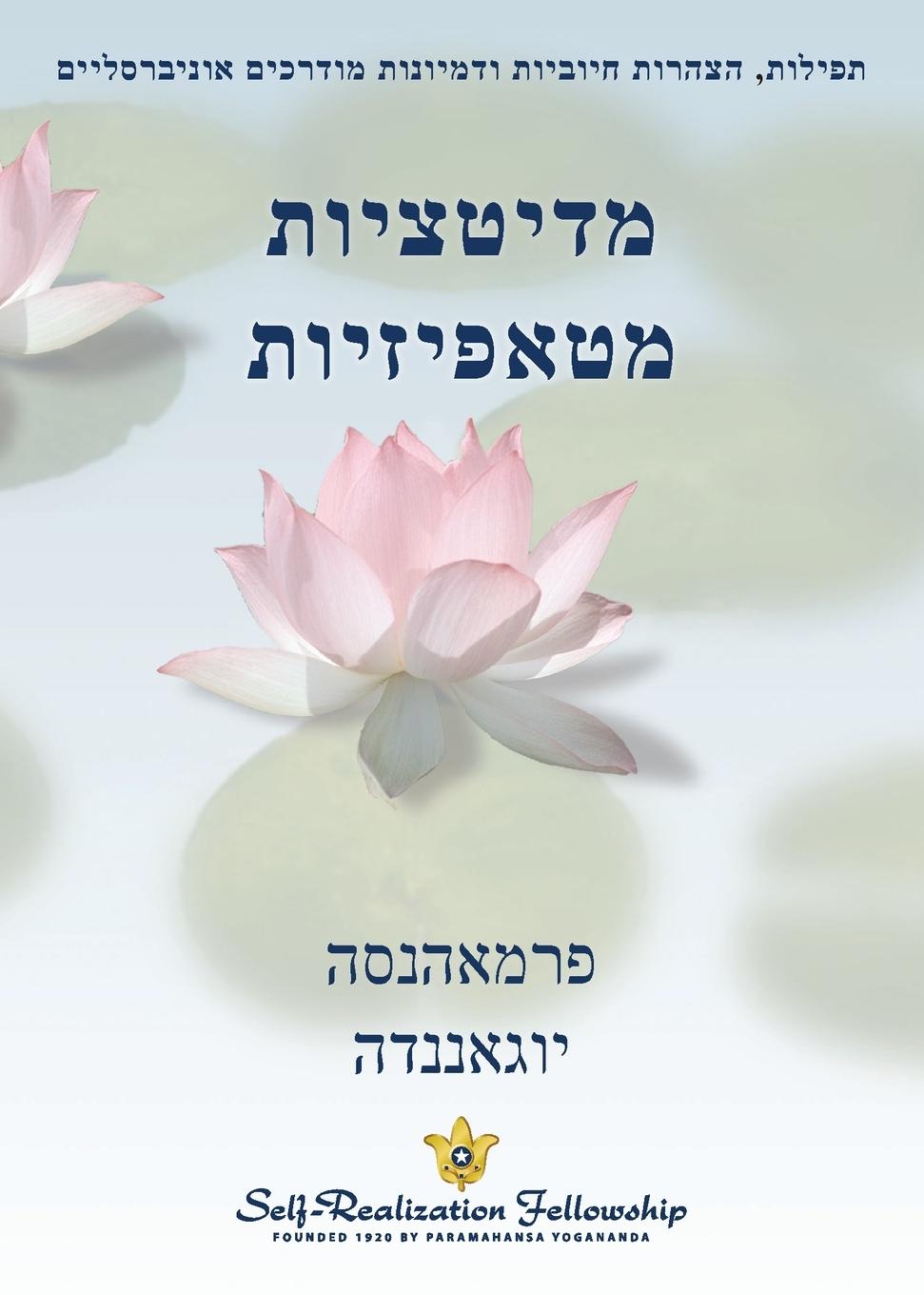 Vorderes Coverbild מדיטציות מטאפיזיות (Metaphysical Meditations - Hebrew)