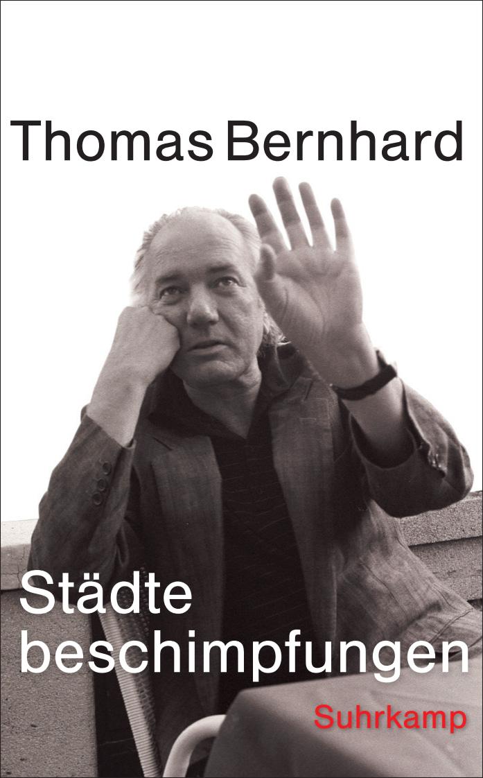 Vorderes Coverbild Städtebeschimpfungen