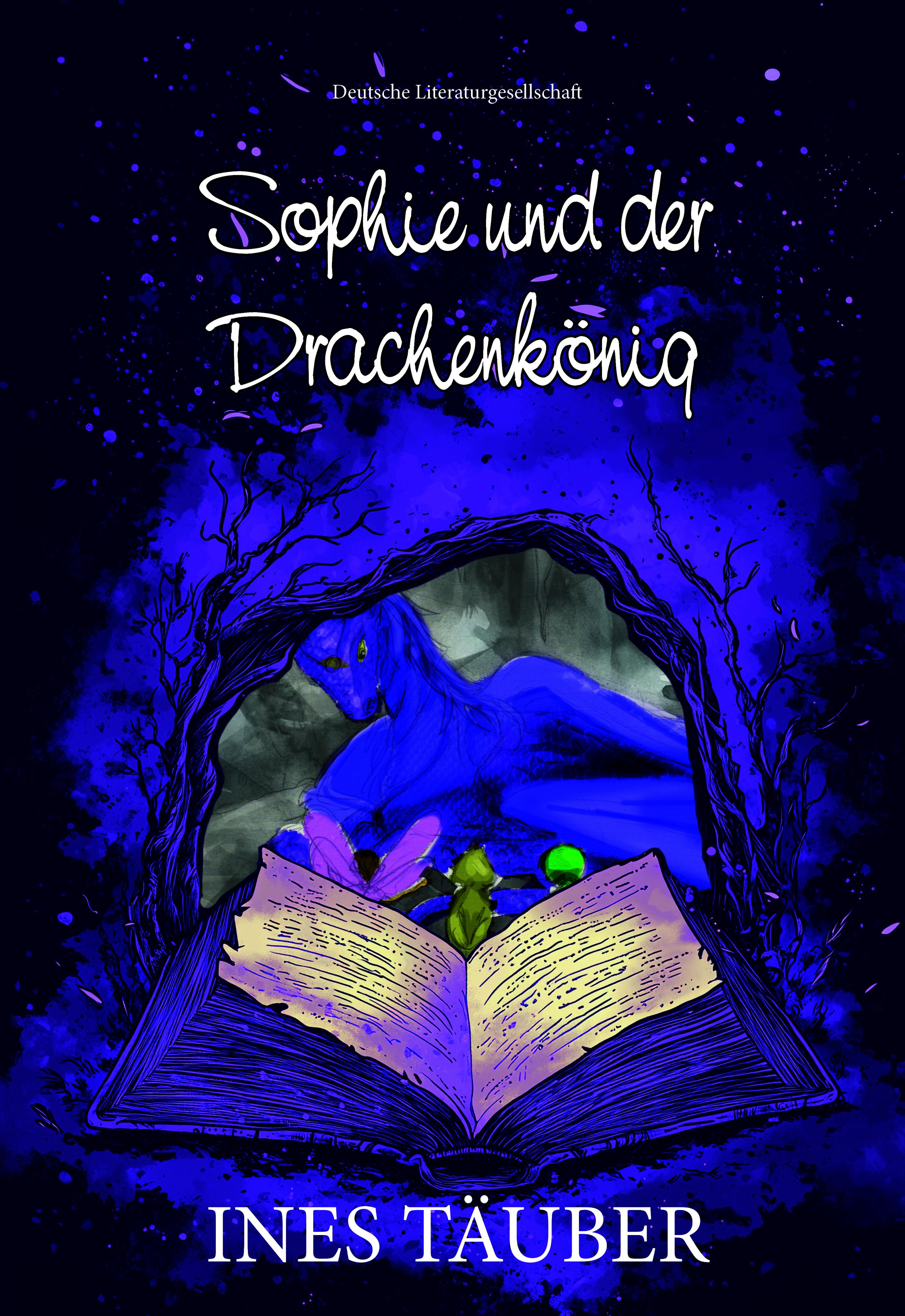 Vorderes Coverbild Sophie und der Drachenkönig