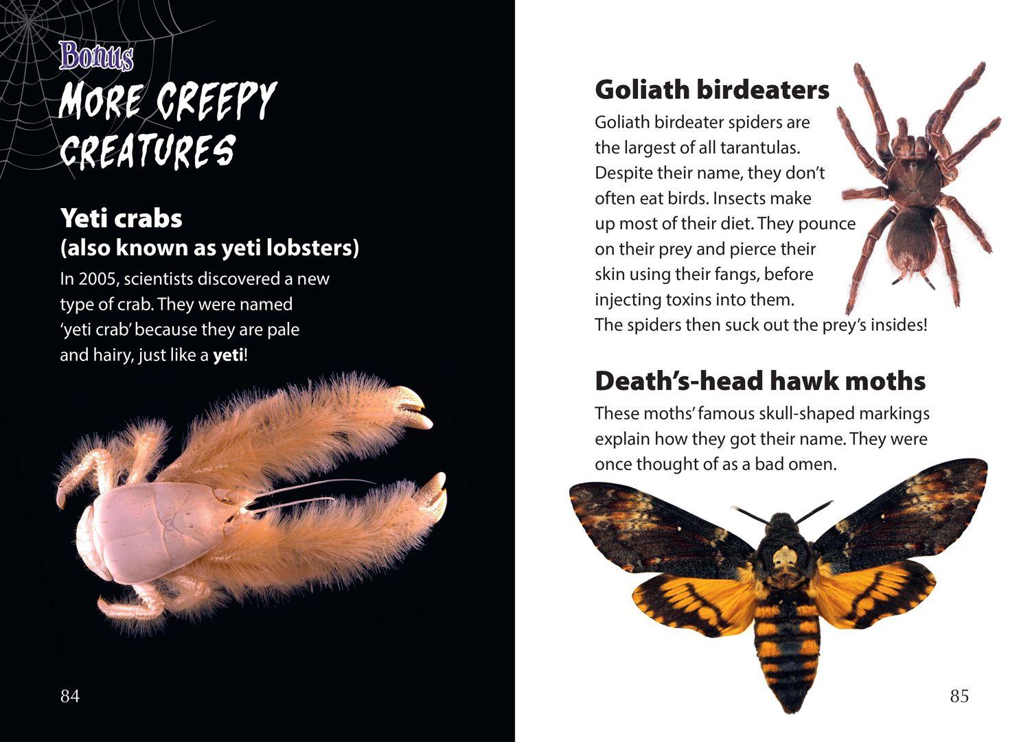 Beispielinhalt (Bild) Creepy Creatures