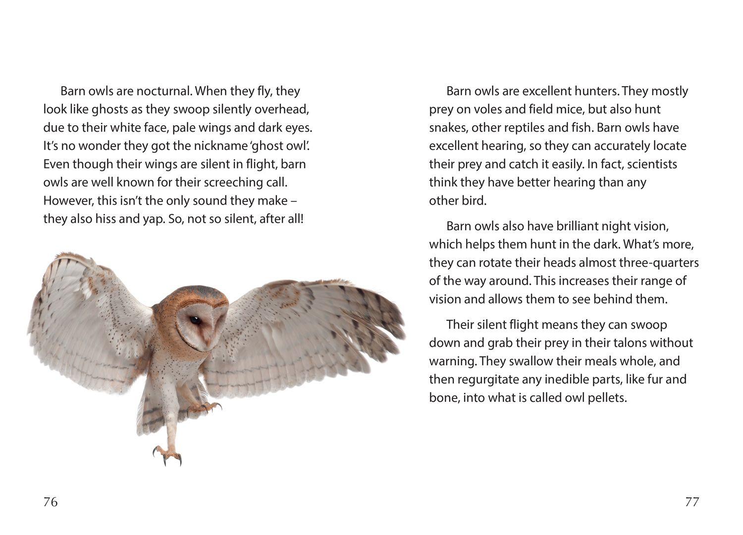 Beispielinhalt (Bild) Creepy Creatures