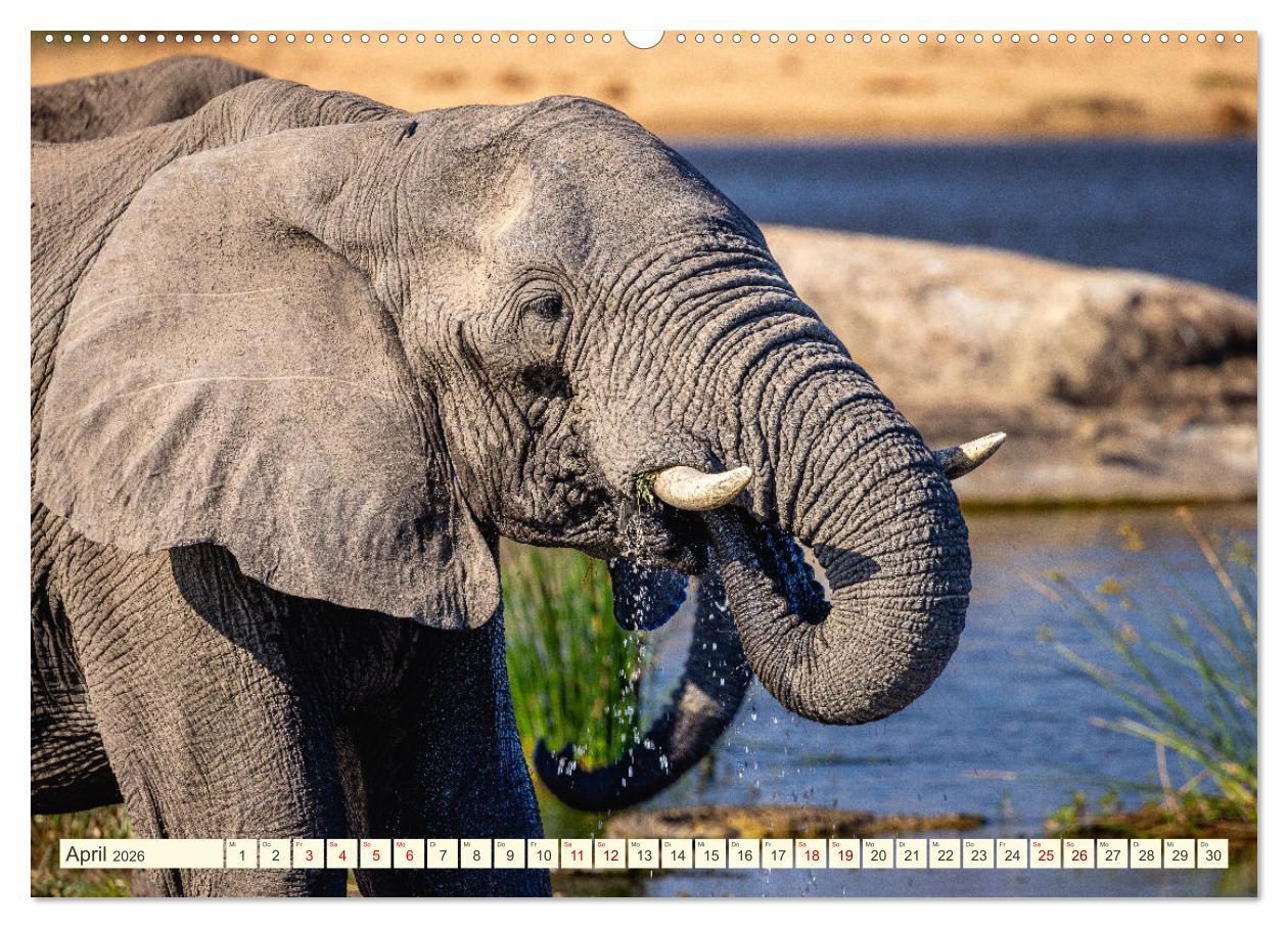 Beispielinhalt (Bild) Südafrika - Die Welt in einem Land (hochwertiger Premium Wandkalender 2026 DIN A2 quer), Kunstdruck in Hochglanz