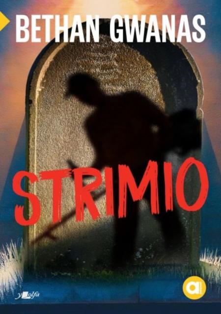 Vorderes Coverbild Cyfres Amdani: Strimio