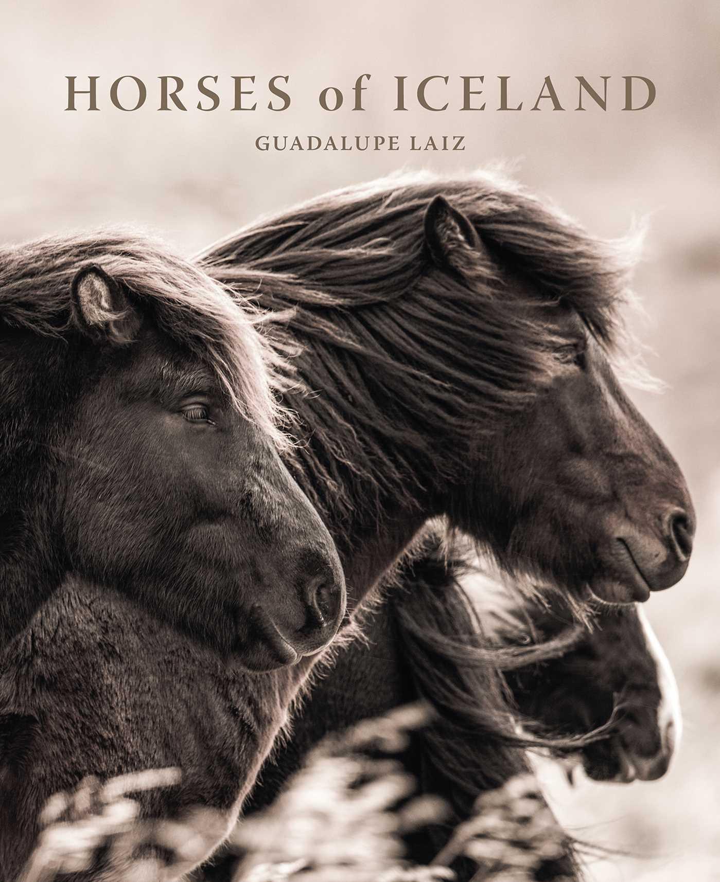 Vorderes Coverbild Horses of Iceland