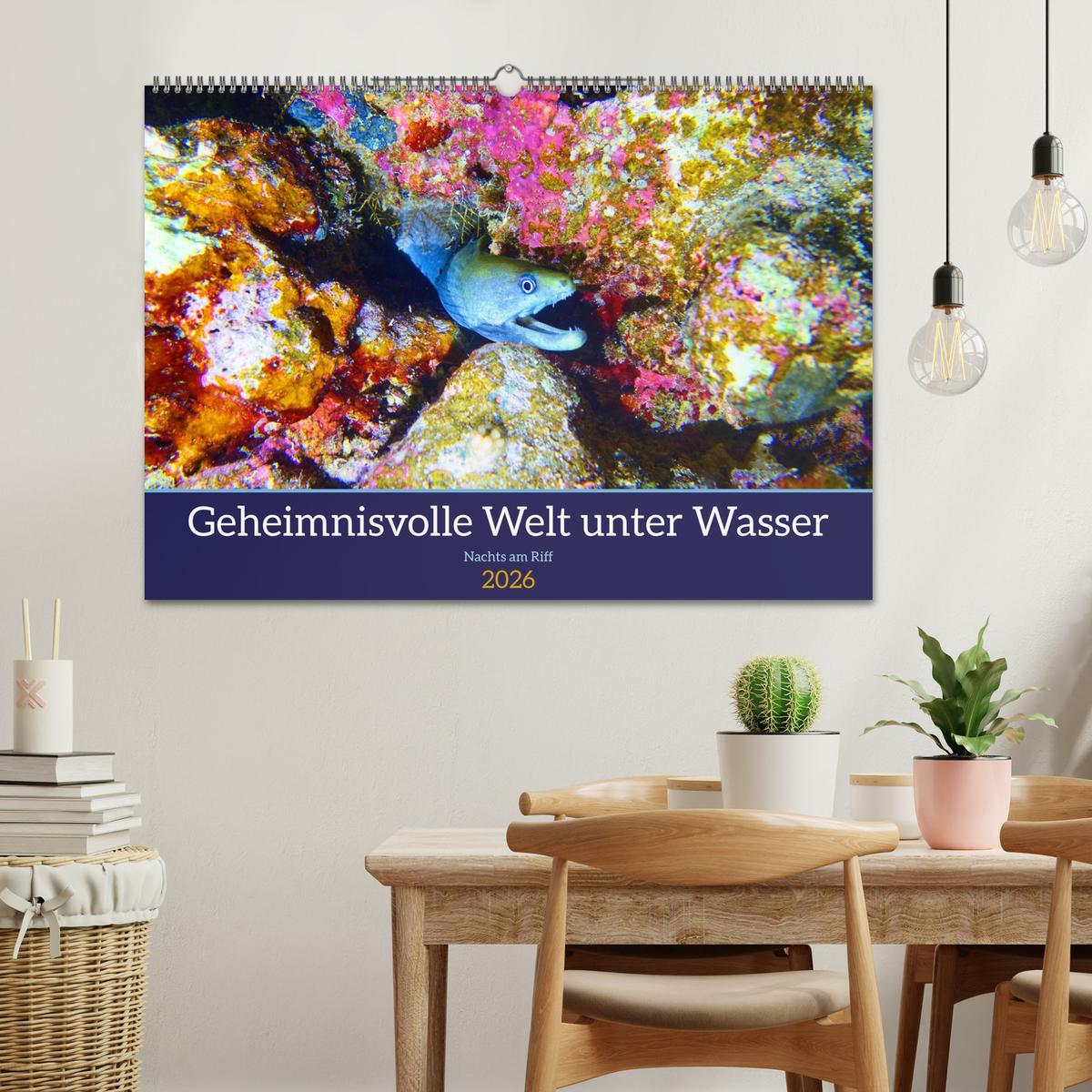 Beispielinhalt (Bild) Geheimnisvolle Welt unter Wasser - Nachts am Riff (Wandkalender 2026 DIN A2 quer), CALVENDO Monatskalender