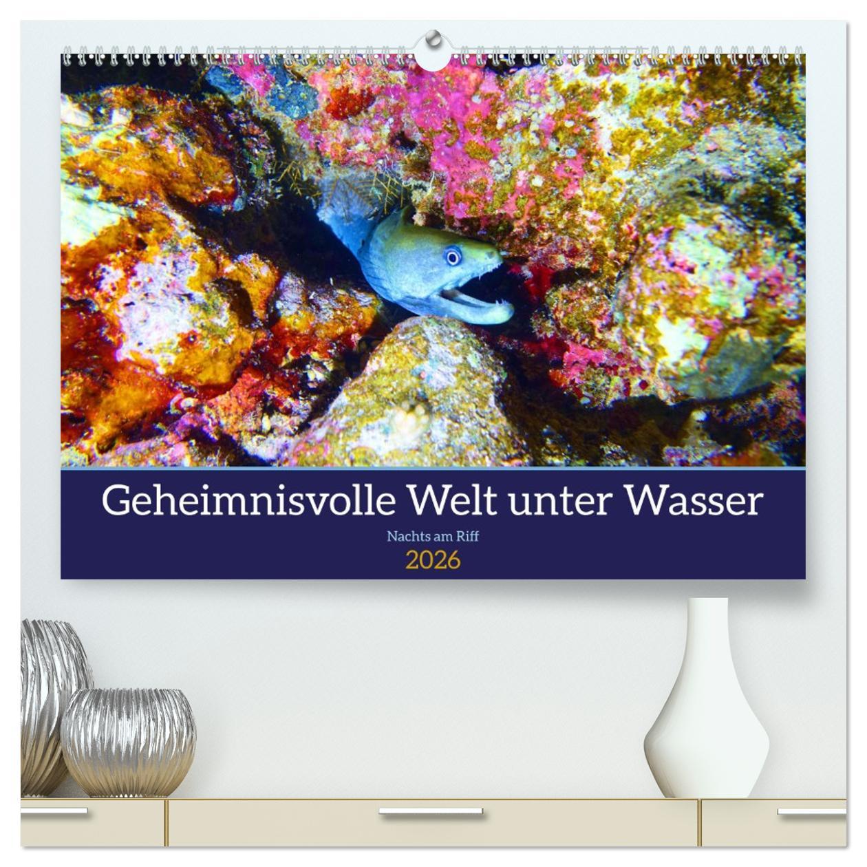 Vorderes Coverbild Geheimnisvolle Welt unter Wasser - Nachts am Riff (hochwertiger Premium Wandkalender 2026 DIN A2 quer), Kunstdruck in Hochglanz
