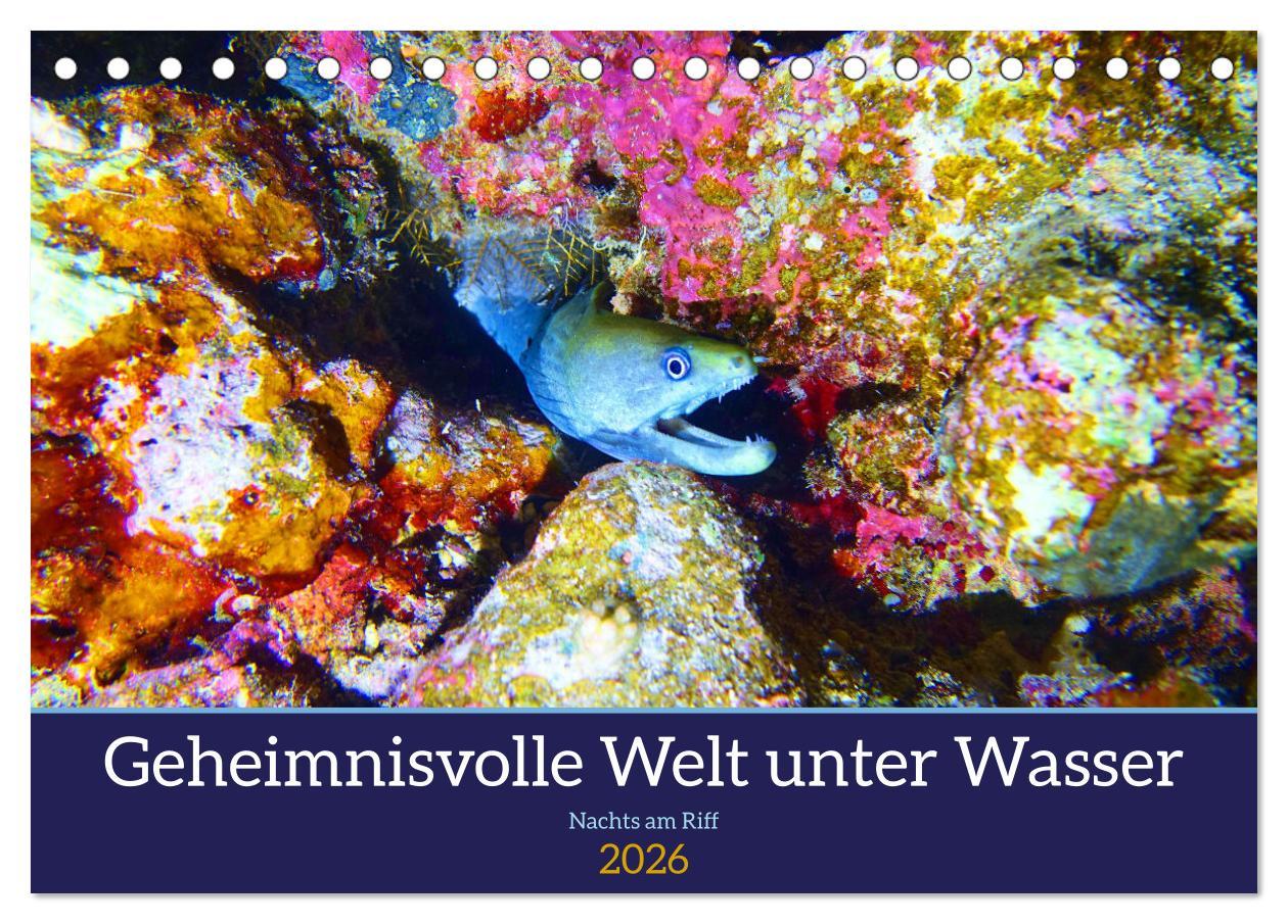 Vorderes Coverbild Geheimnisvolle Welt unter Wasser - Nachts am Riff (Tischkalender 2026 DIN A5 quer), CALVENDO Monatskalender