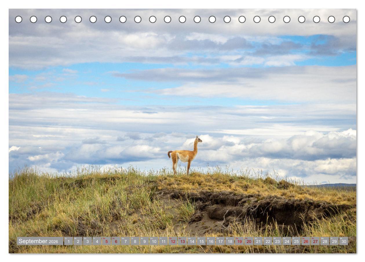 Beispielinhalt (Bild) Chile - Südamerikas Geheimtipp im Farbrausch (Tischkalender 2026 DIN A5 quer), CALVENDO Monatskalender