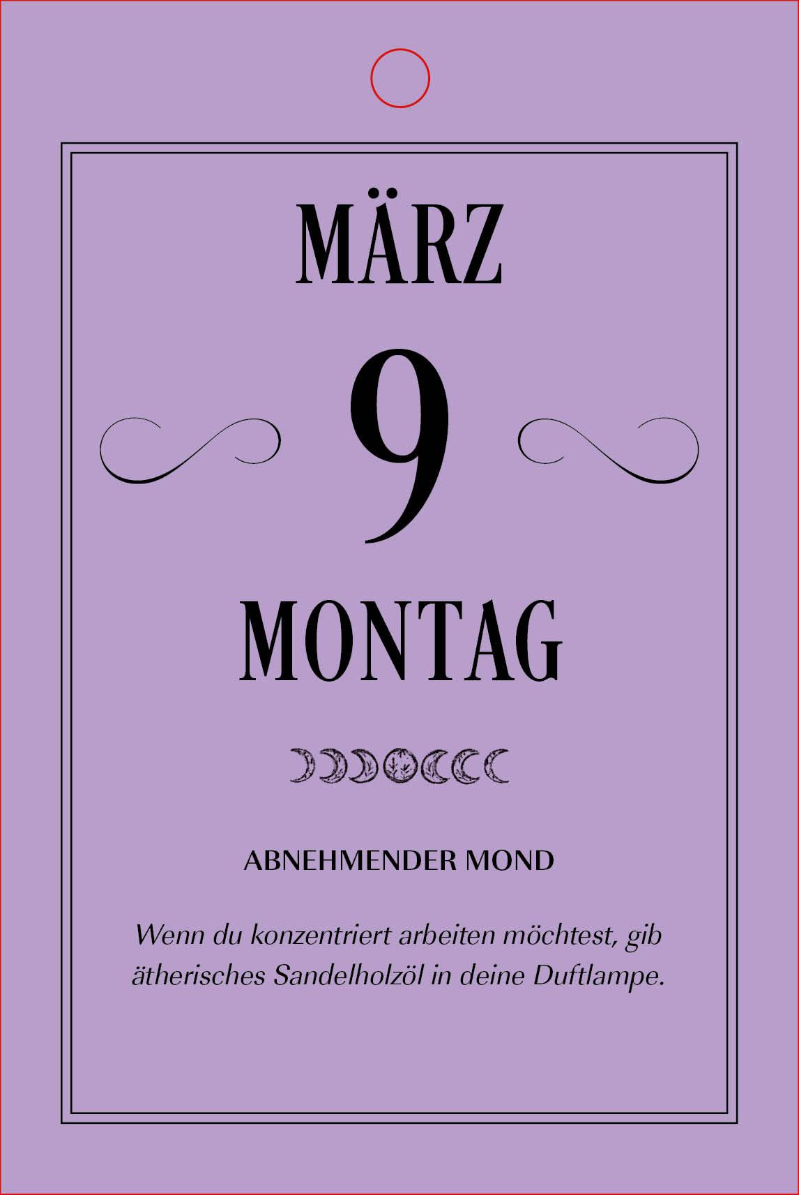 Beispielinhalt (Bild) Hexenkalender 2026