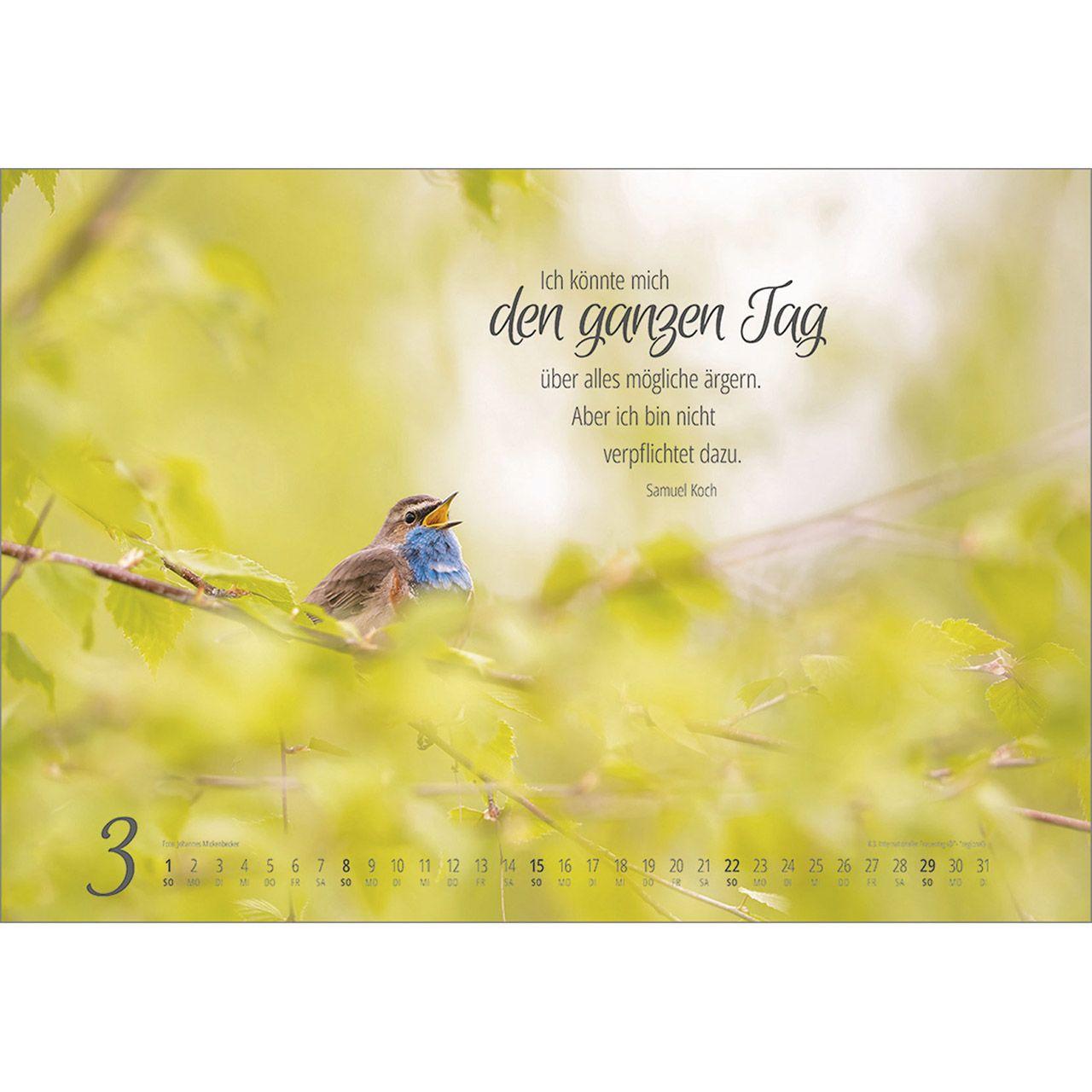 Beispielinhalt (Bild) Real Wildlife 2026