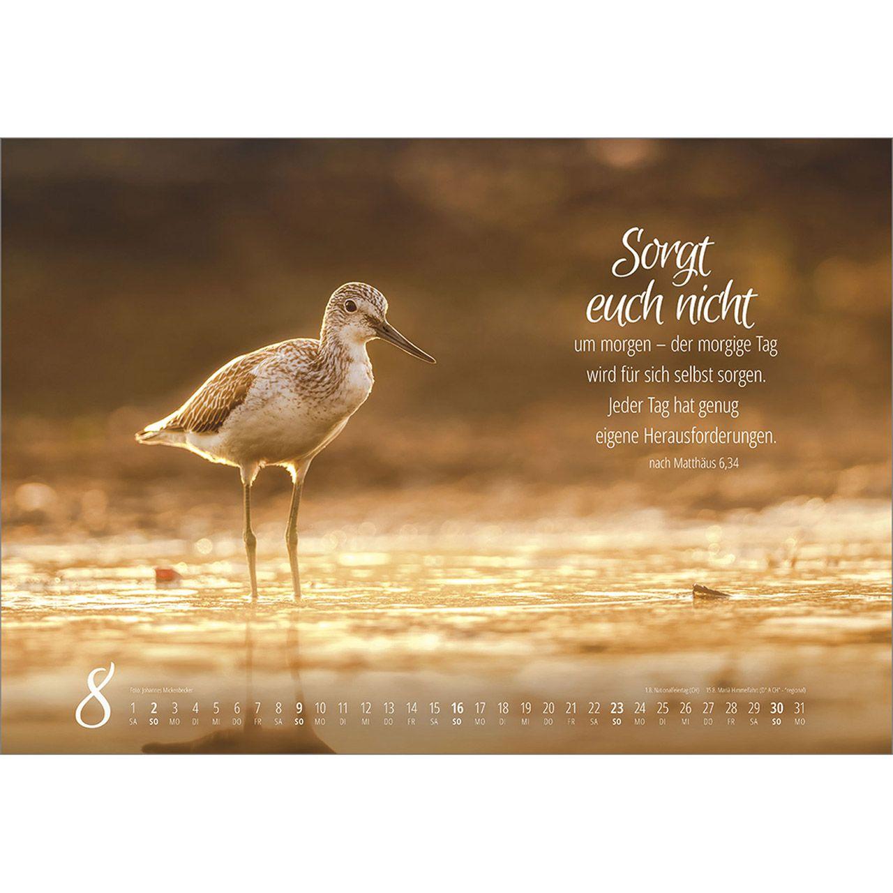 Beispielinhalt (Bild) Real Wildlife 2026