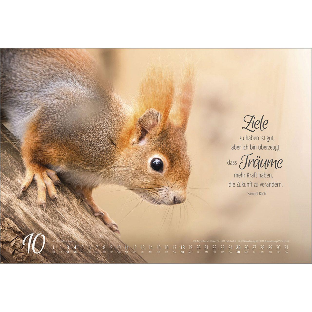 Beispielinhalt (Bild) Real Wildlife 2026