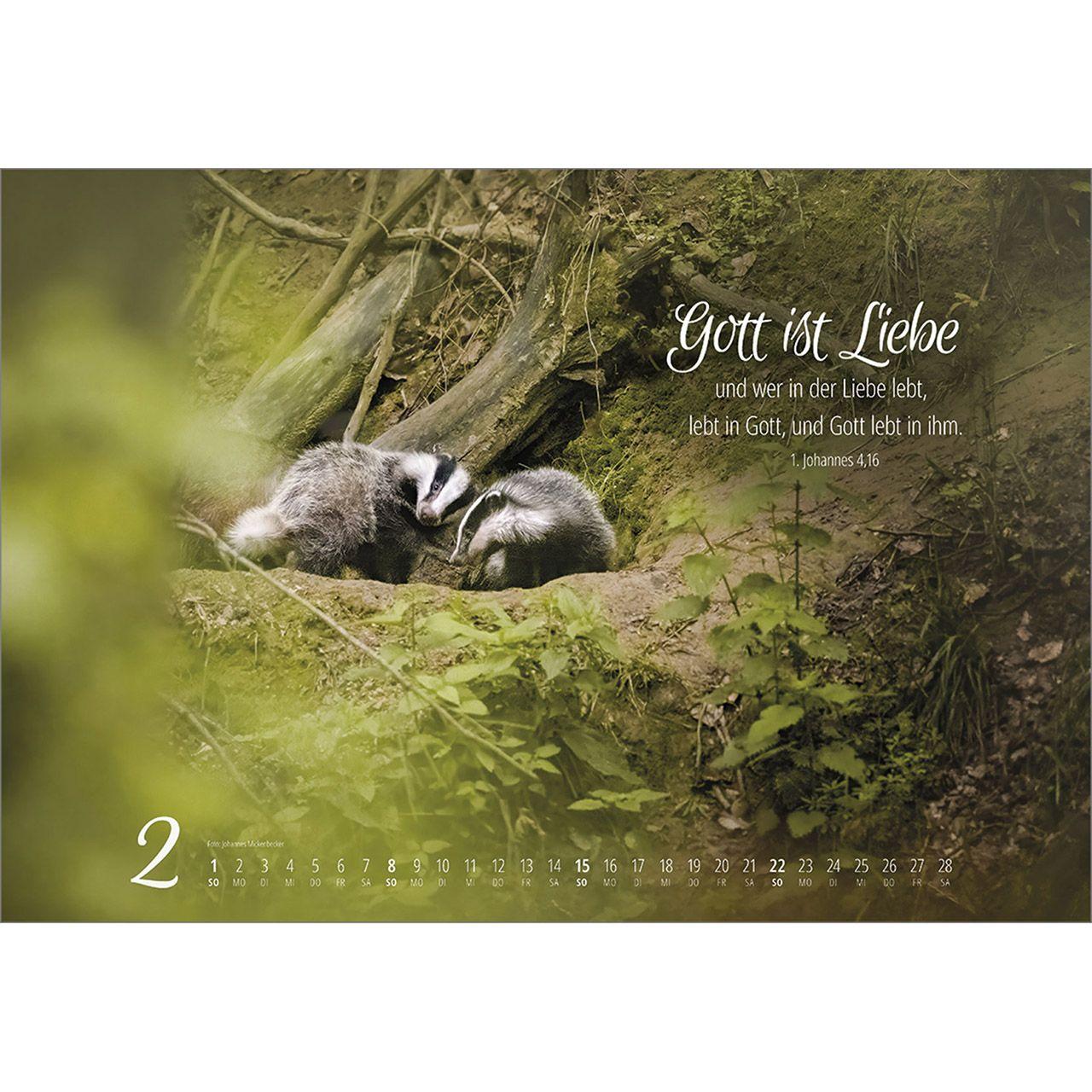 Beispielinhalt (Bild) Real Wildlife 2026