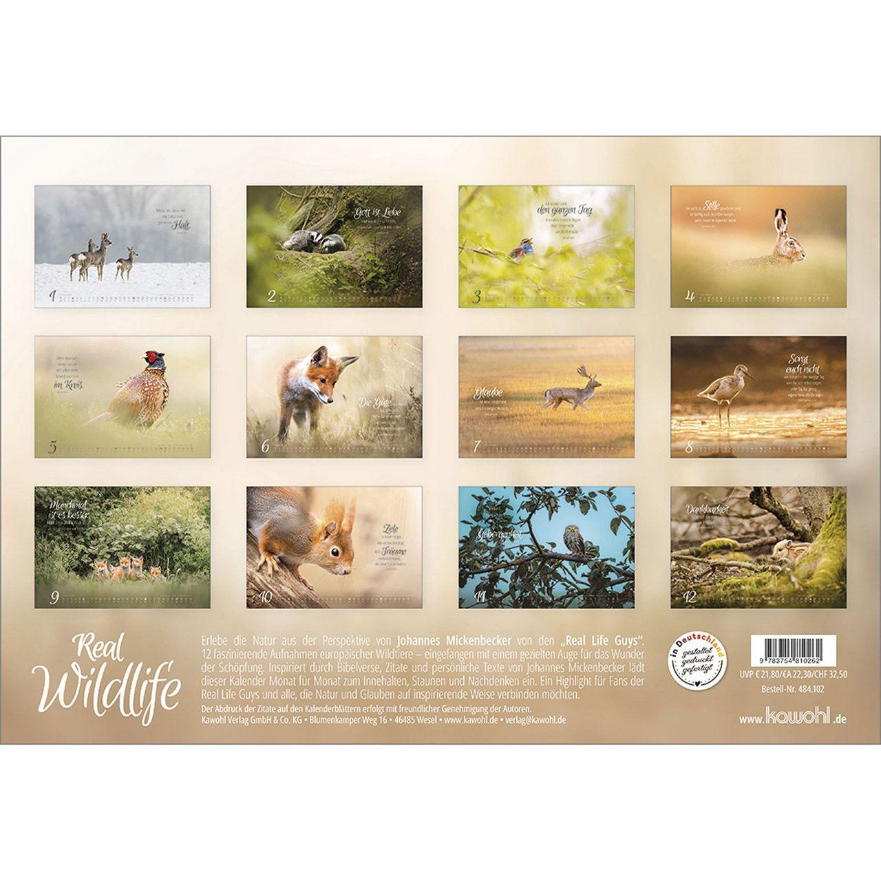 Beispielinhalt (Bild) Real Wildlife 2026