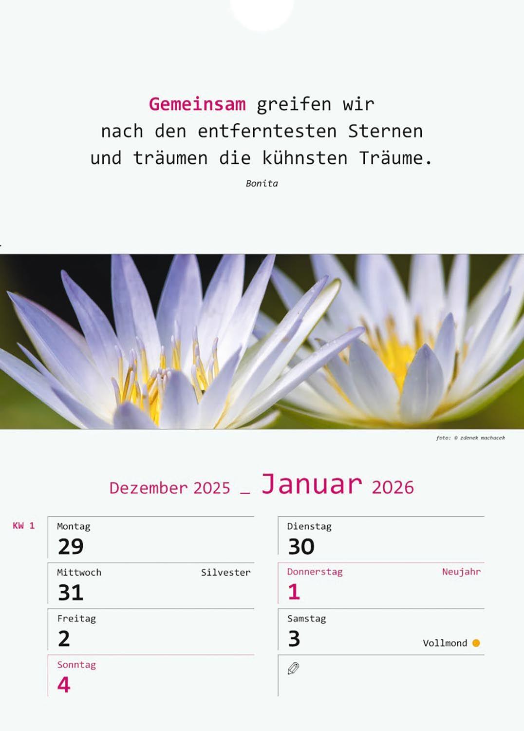 Beispielinhalt (Bild) Wir-Kalender 2026