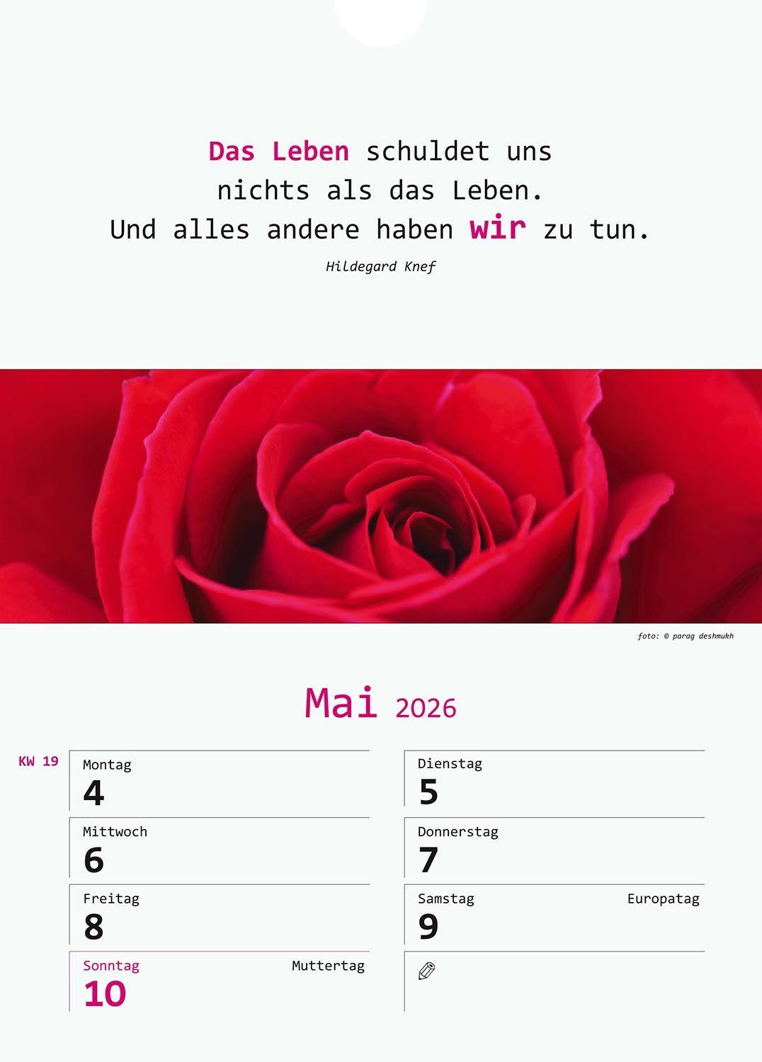 Beispielinhalt (Bild) Wir-Kalender 2026