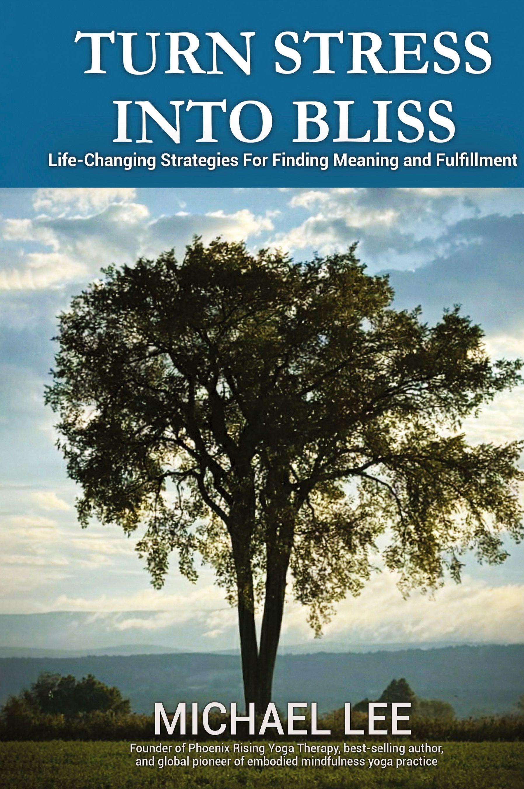 Vorderes Coverbild TURN STRESS INTO BLISS