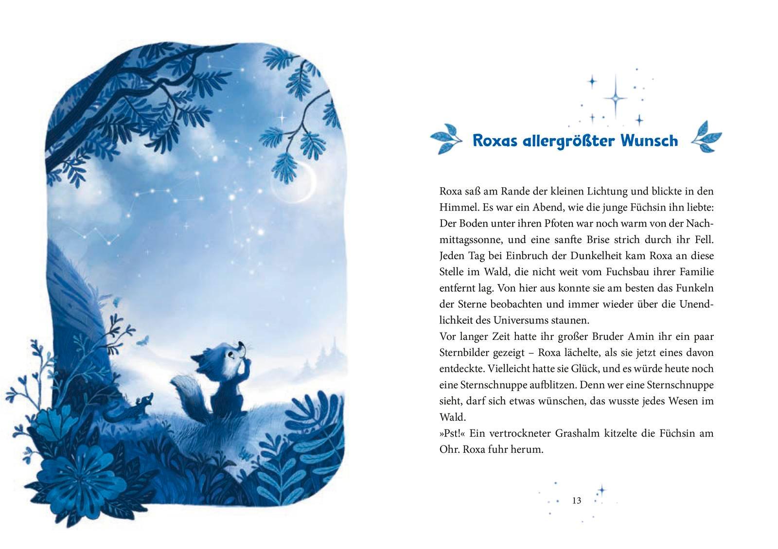 Beispielinhalt (Bild) Das Tal der Wünsche