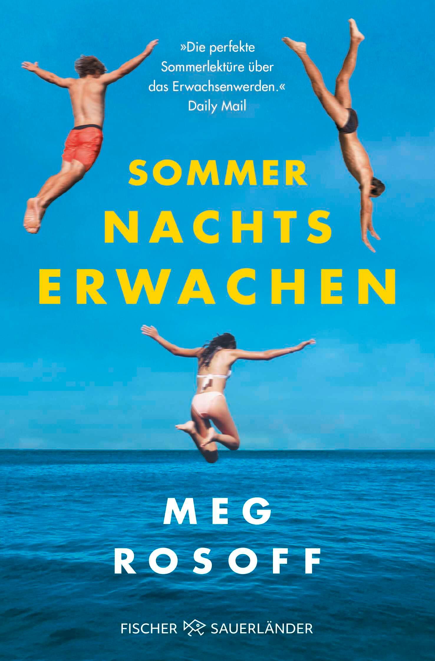Vorderes Coverbild Sommernachtserwachen