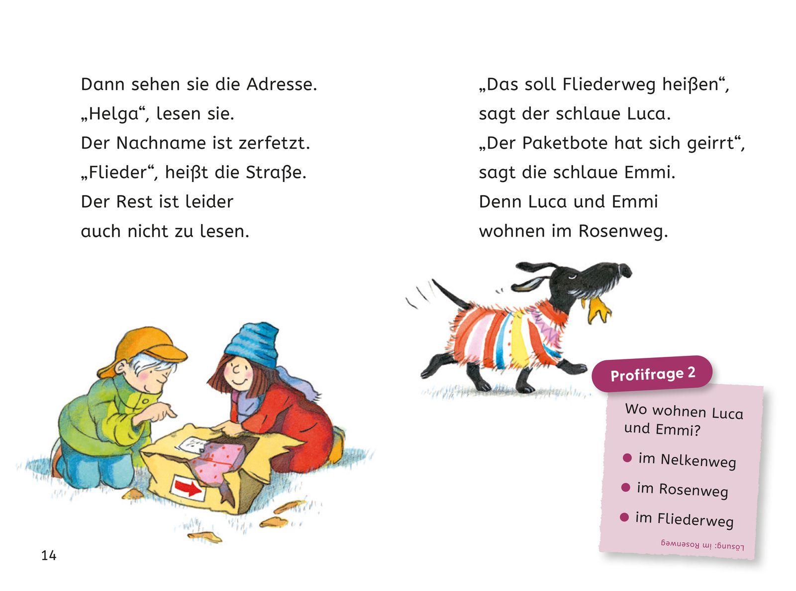 Beispielinhalt (Bild) Leseprofis - Das schönste Weihnachtsgeschenk der Welt, 1. Klasse