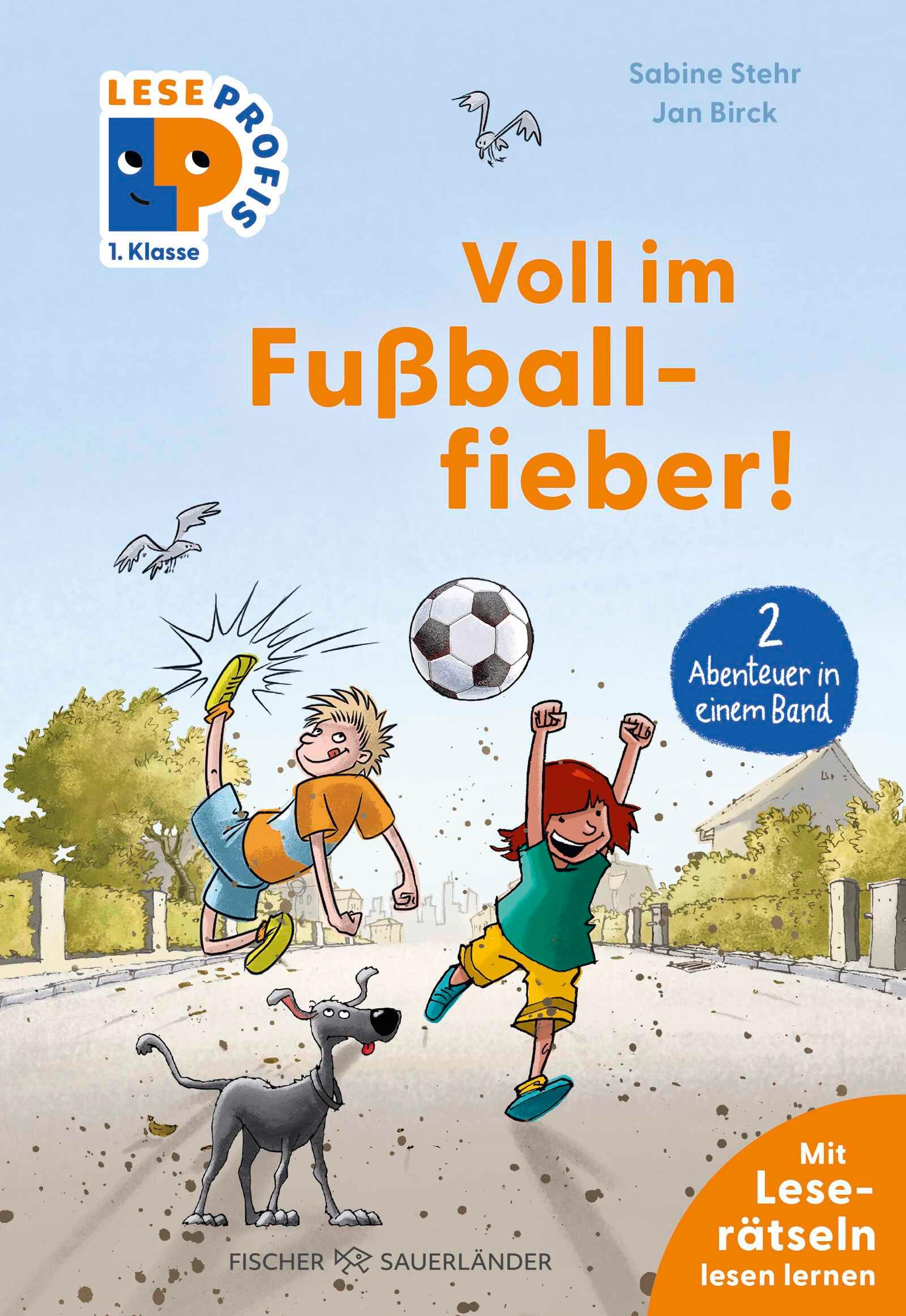 Vorderes Coverbild Leseprofis - Voll im Fußballfieber!, 1. Klasse (Doppelband)