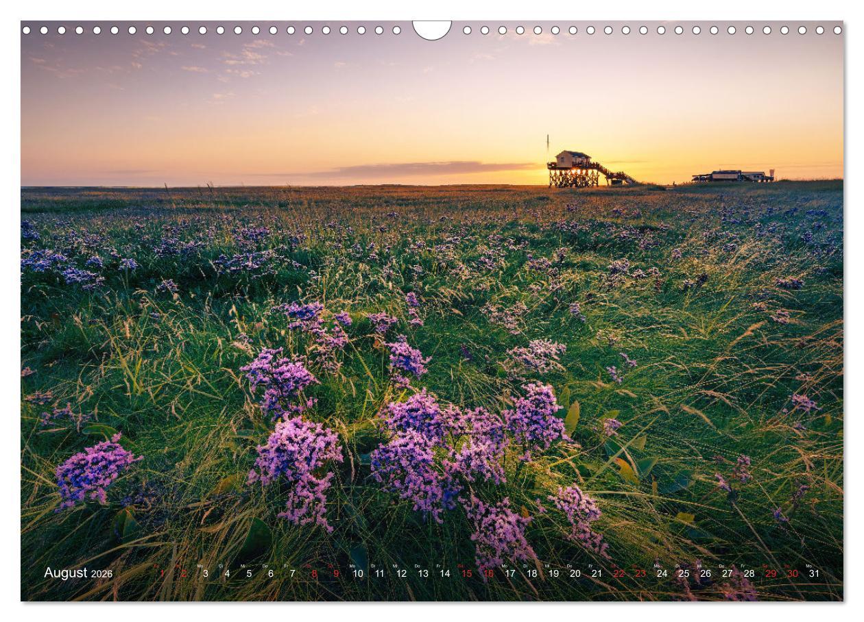 Beispielinhalt (Bild) Nordseeurlaub in St. Peter-Ording (Wandkalender 2026 DIN A3 quer), CALVENDO Monatskalender