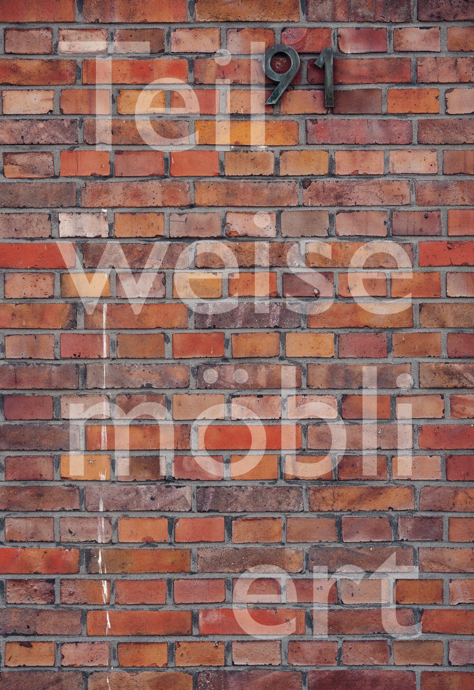 Vorderes Coverbild Teilweise möbliert, exzellente Aussicht. Ortsspezifische Kunst für Haus Lange