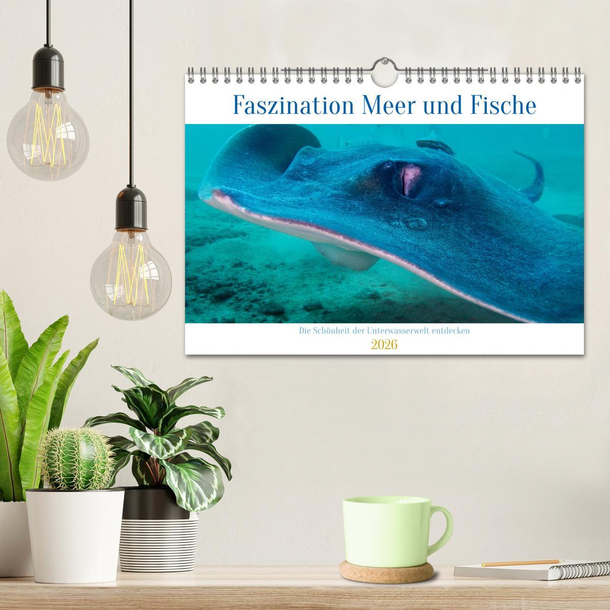 Beispielinhalt (Bild) Faszination Meer und Fische (Wandkalender 2026 DIN A4 quer), CALVENDO Monatskalender