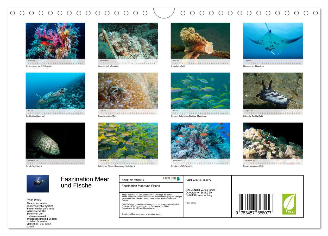 Beispielinhalt (Bild) Faszination Meer und Fische (Wandkalender 2026 DIN A4 quer), CALVENDO Monatskalender