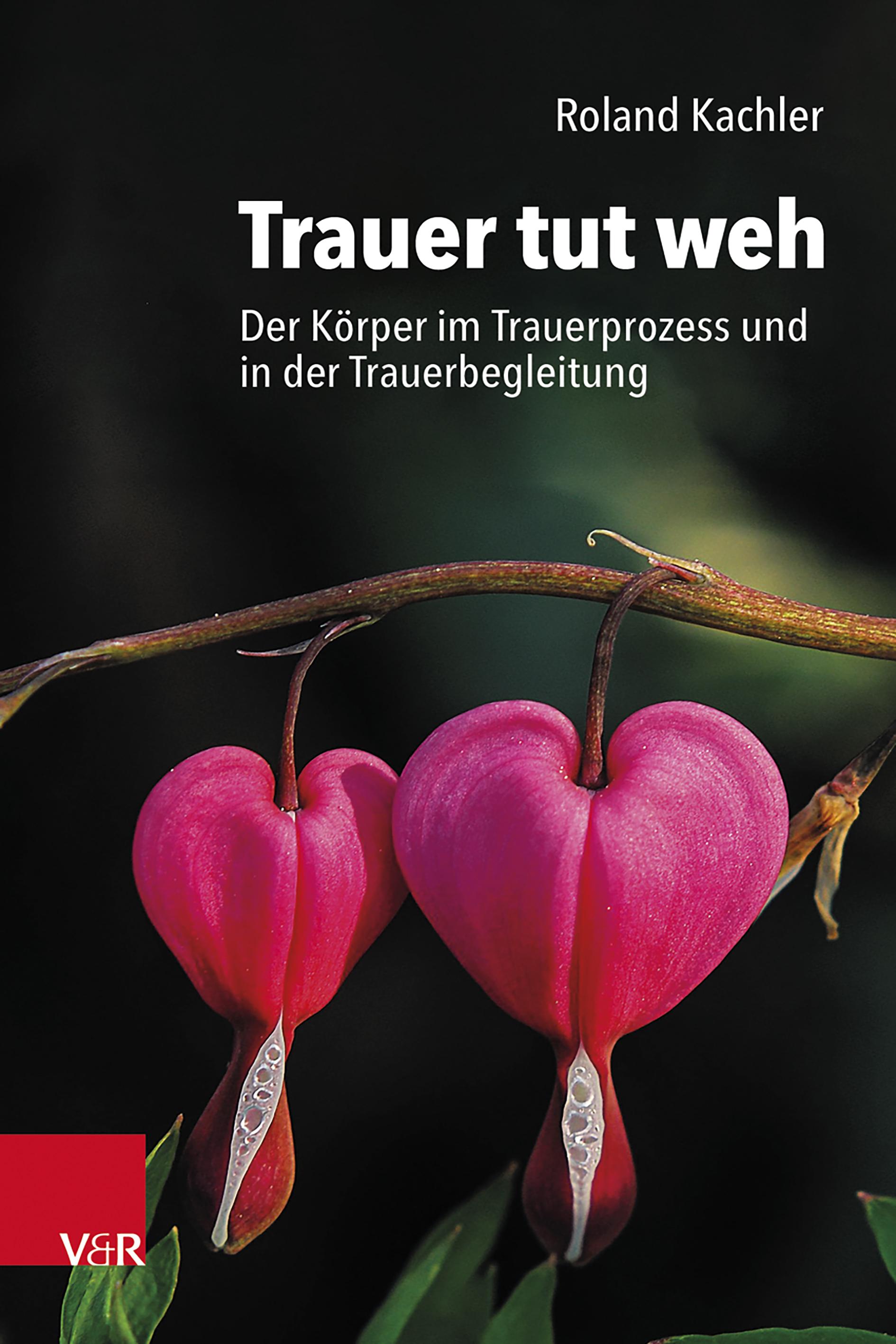 Vorderes Coverbild Trauer tut weh