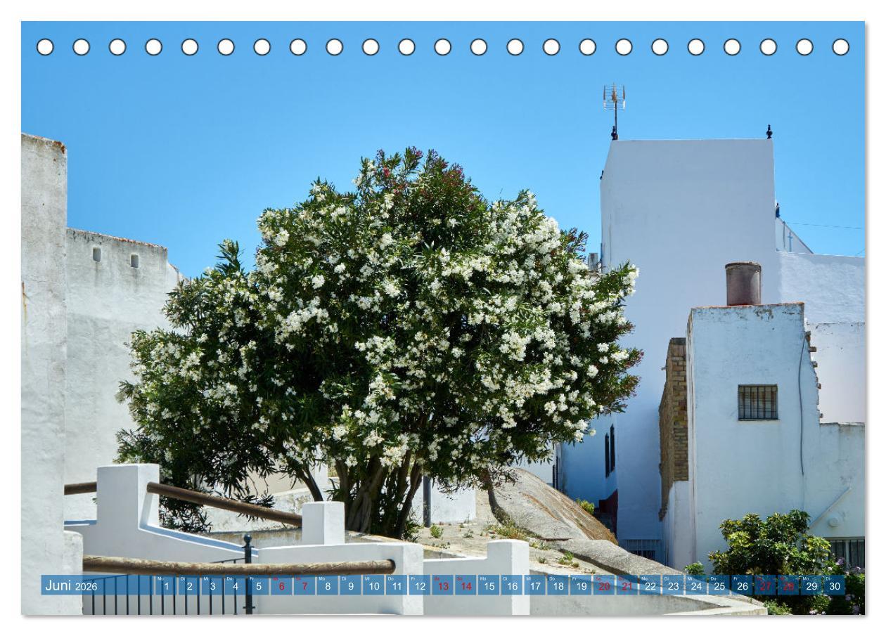Beispielinhalt (Bild) Conil de la Frontera - Eindrücke einer Stadt am Atlantik (Tischkalender 2026 DIN A5 quer), CALVENDO Monatskalender