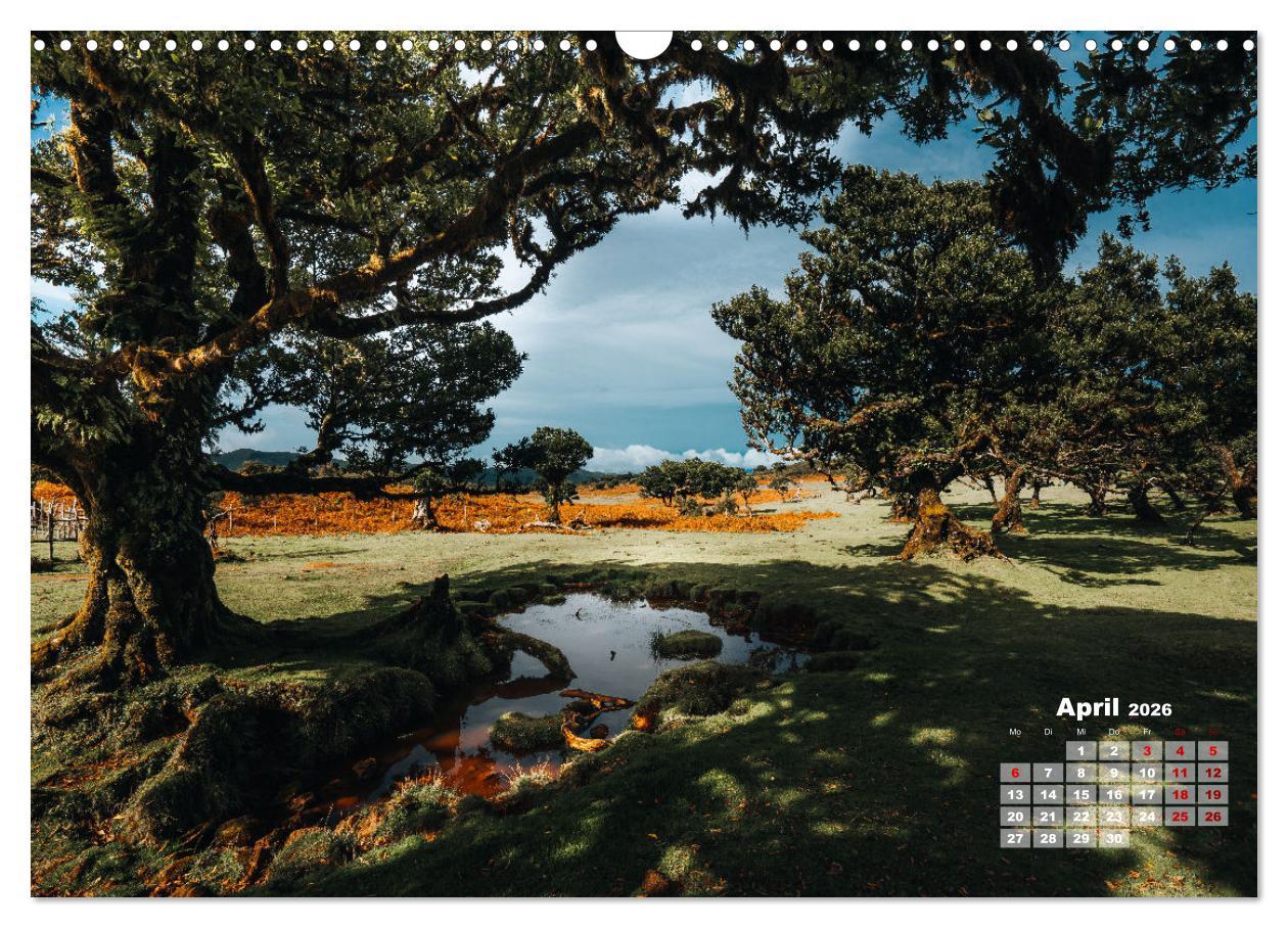 Beispielinhalt (Bild) Trauminsel Madeira (Wandkalender 2026 DIN A3 quer), CALVENDO Monatskalender