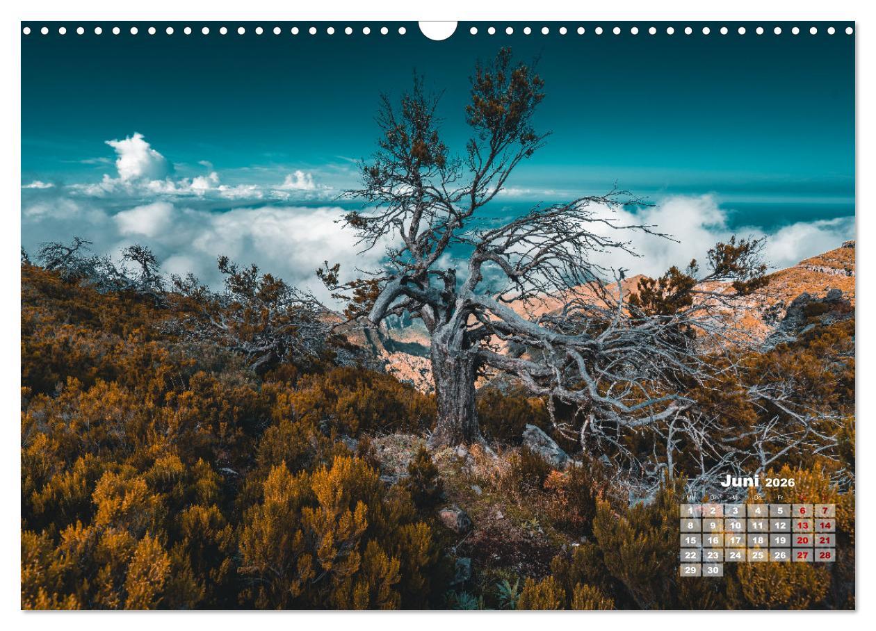Beispielinhalt (Bild) Trauminsel Madeira (Wandkalender 2026 DIN A3 quer), CALVENDO Monatskalender