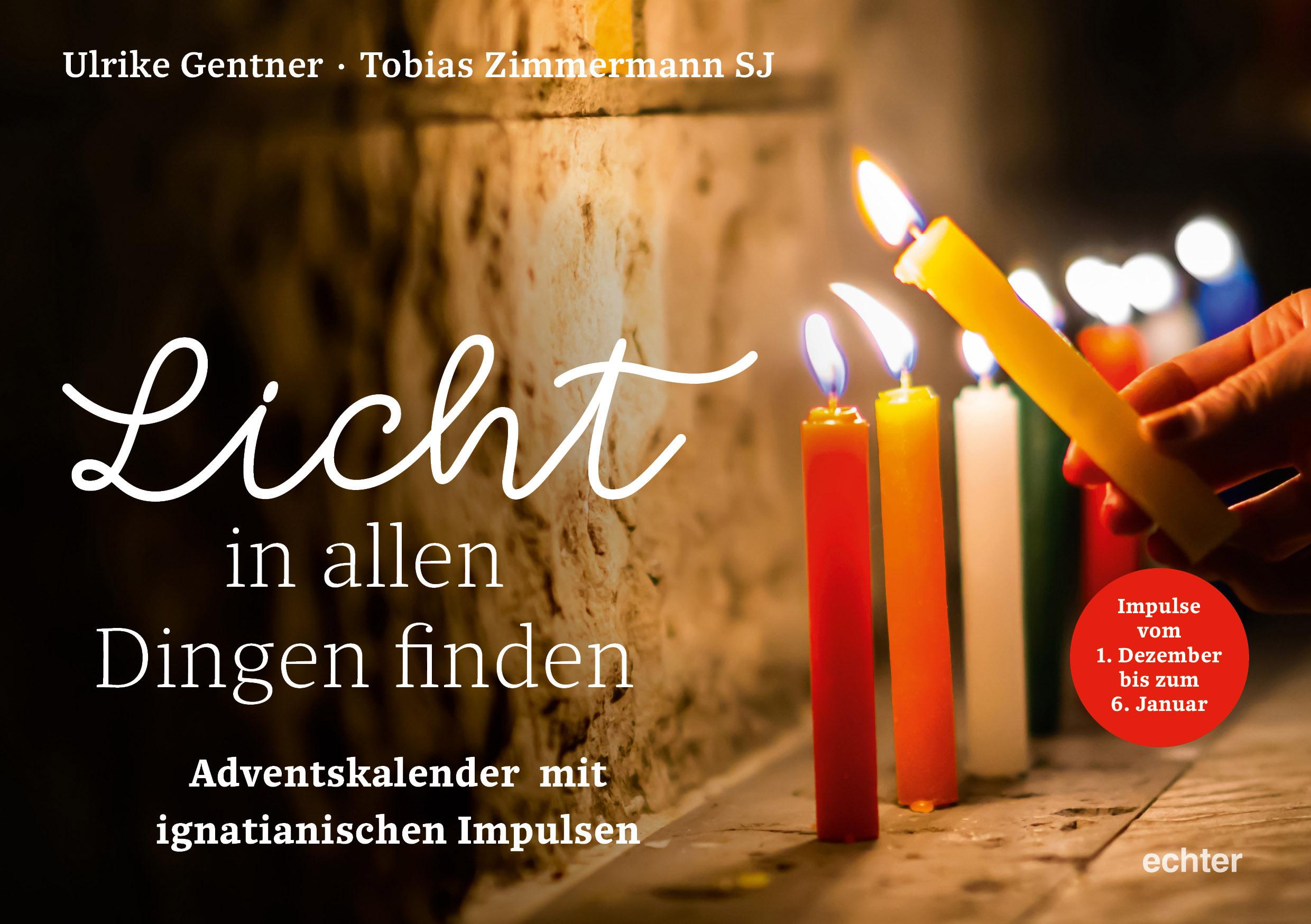 Vorderes Coverbild Licht in allen Dingen finden