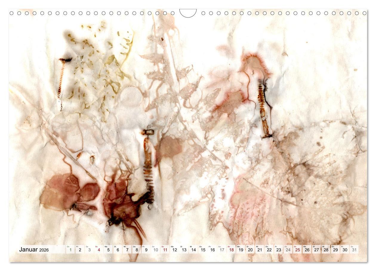Beispielinhalt (Bild) Botanical Printing - Magische Pflanzendrucke (Wandkalender 2026 DIN A3 quer), CALVENDO Monatskalender